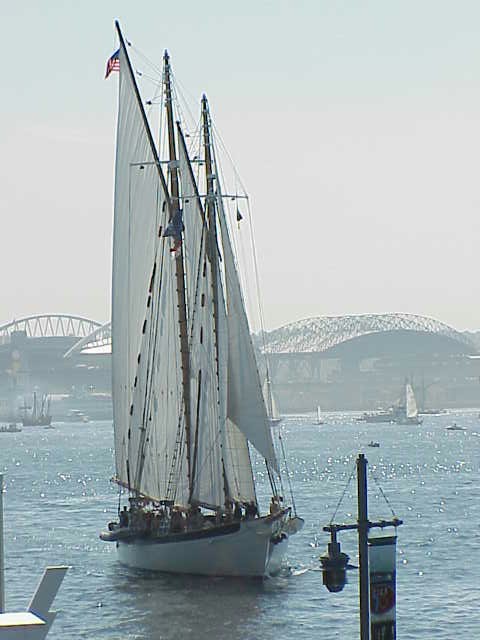    Schooner, Zodiac  Tall Ships Festival     Seattle